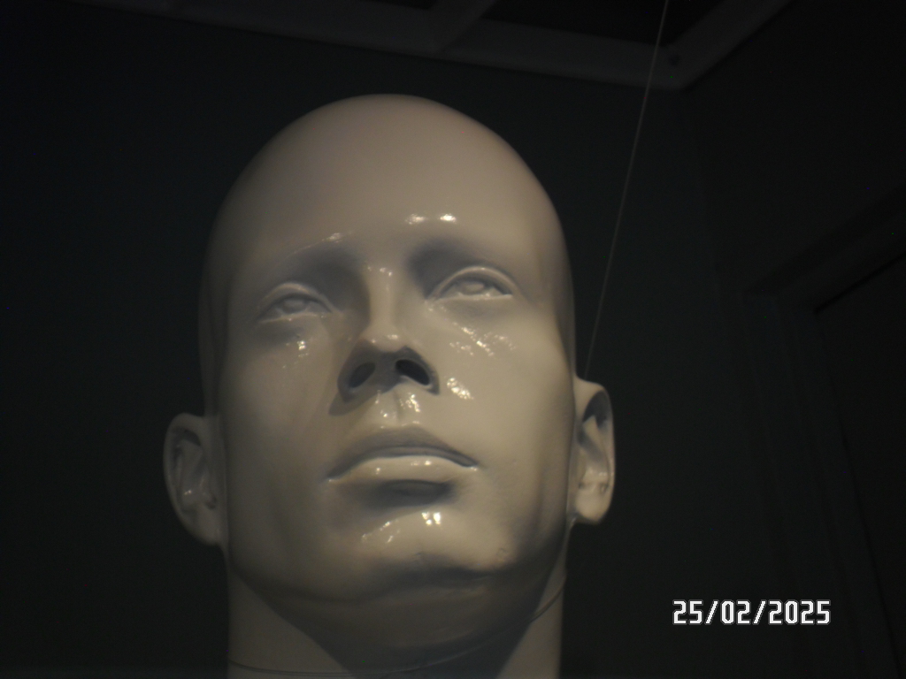 Maniquie